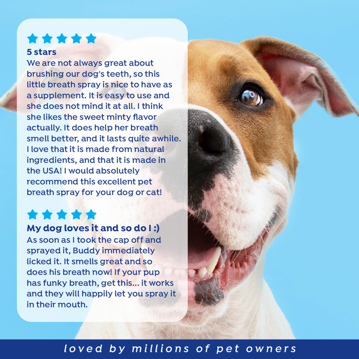 Naturel Promise Fresh Dental Dog Breath Freshener Spray Dogs & Cats, 4 oz Bottle — product image 8