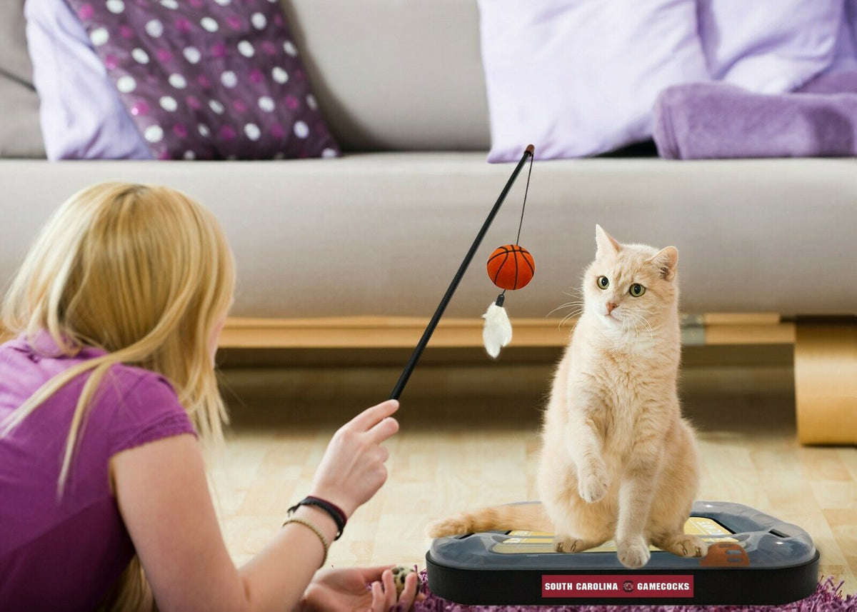 NCAA South Carolina Gamecocks CAT Scratcher Mat Toy with Catnip Plush & Feather Cat Toy 5-in-1 Kitty Toy — product image 3