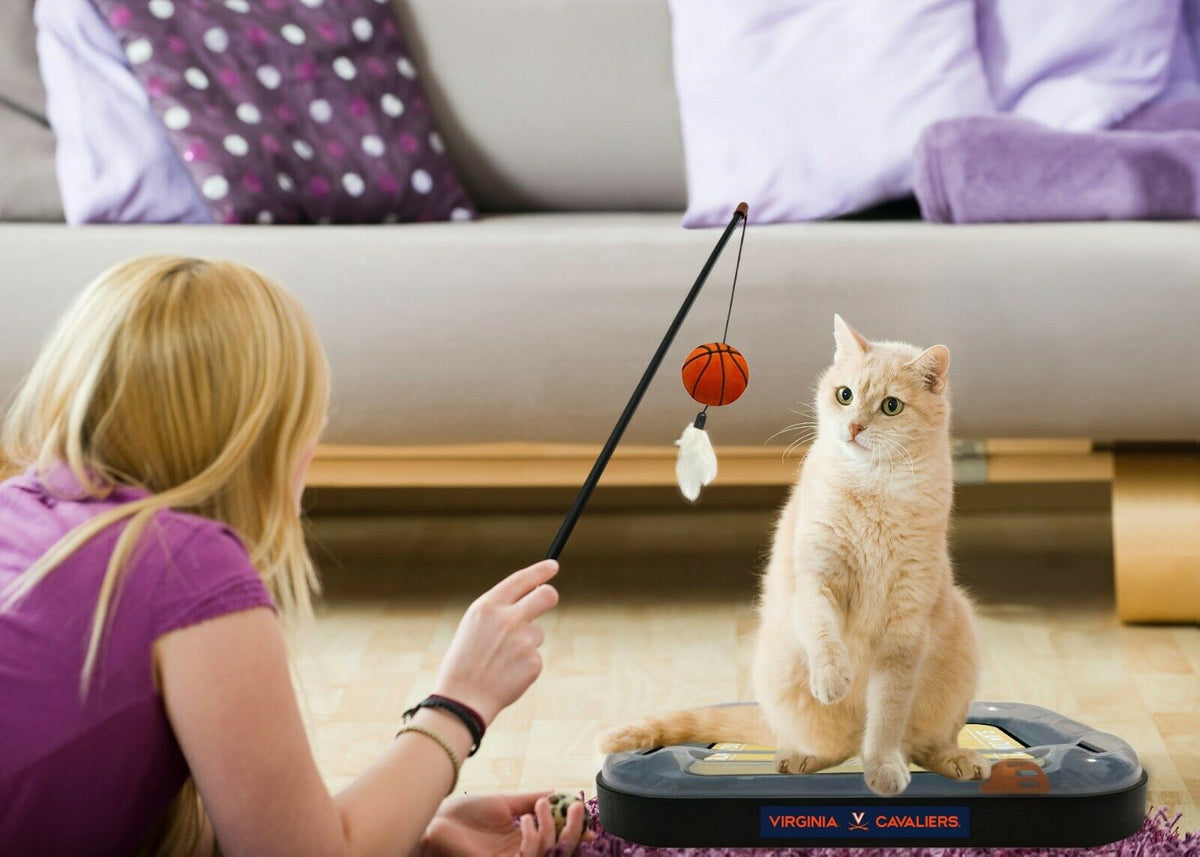 NCAA Virginia Cavaliers CAT Scratcher Mat Toy with Catnip Plush & Feather Cat Toy 5-in-1 Kitty Toy — product image 3