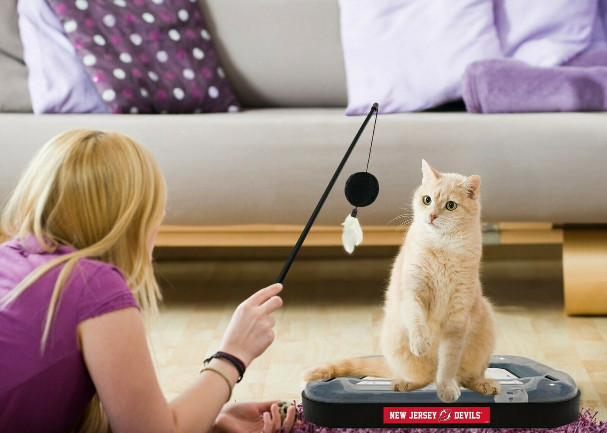 NHL New Jersey Devils CAT Scratcher Toy with Catnip Plush & Feather Cat Toy 5-in-1 Kitty Toy — product image 3