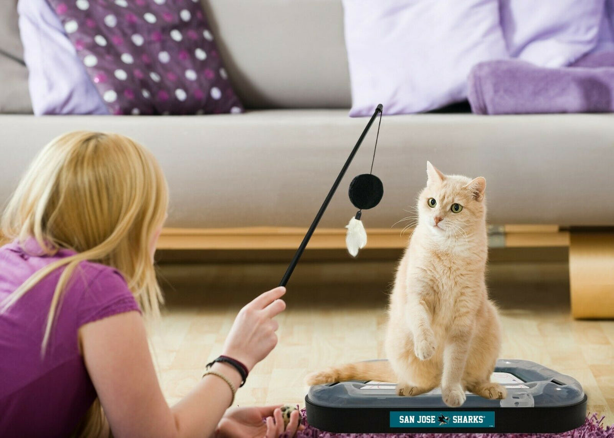 NHL San Jose Sharks CAT Scratcher Toy with Catnip Plush & Feather Cat Toy 5-in-1 Kitty Toy — product image 3