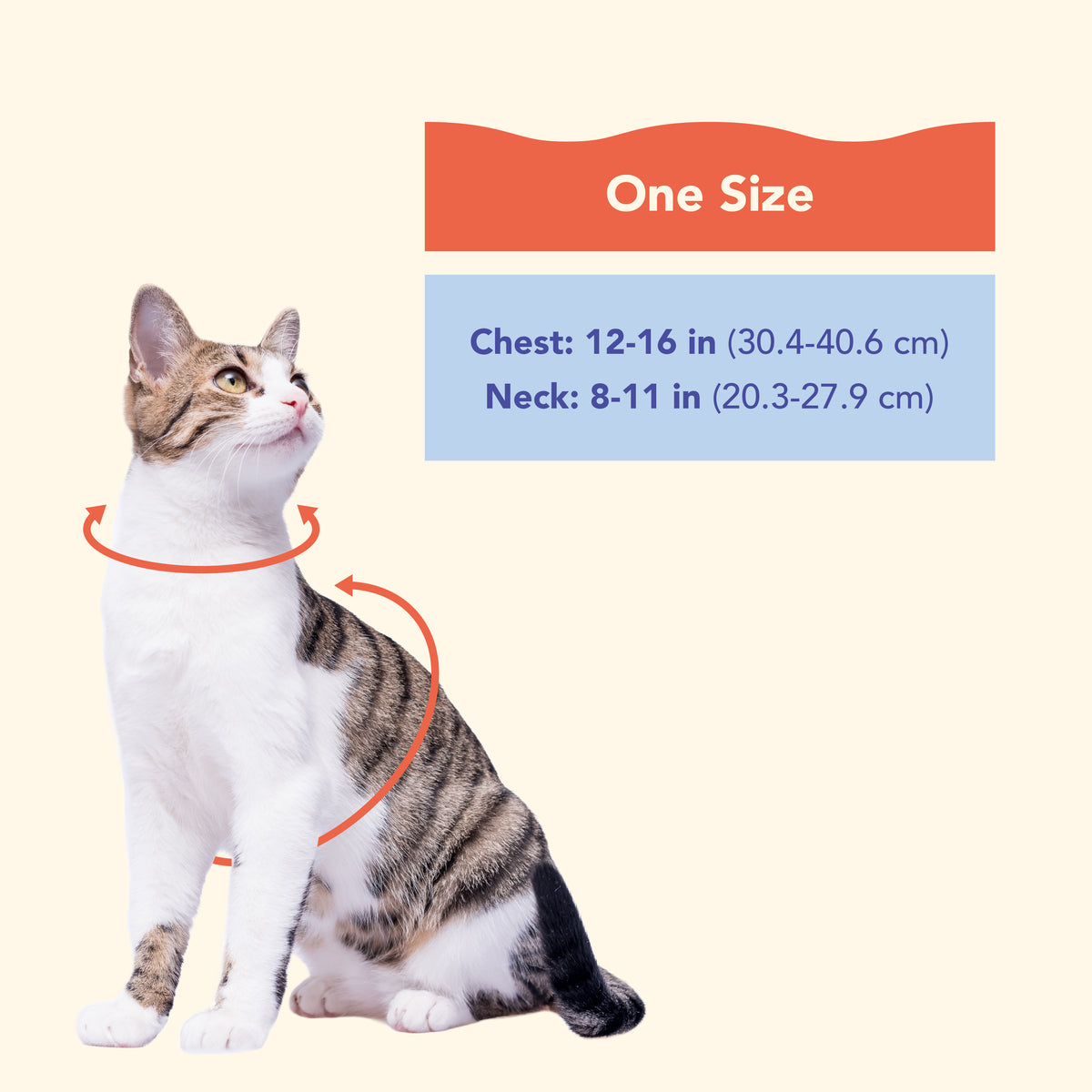 Oodles Iridescent Cat Walking Harness & Leash Set, Teal, One Size — product image 7