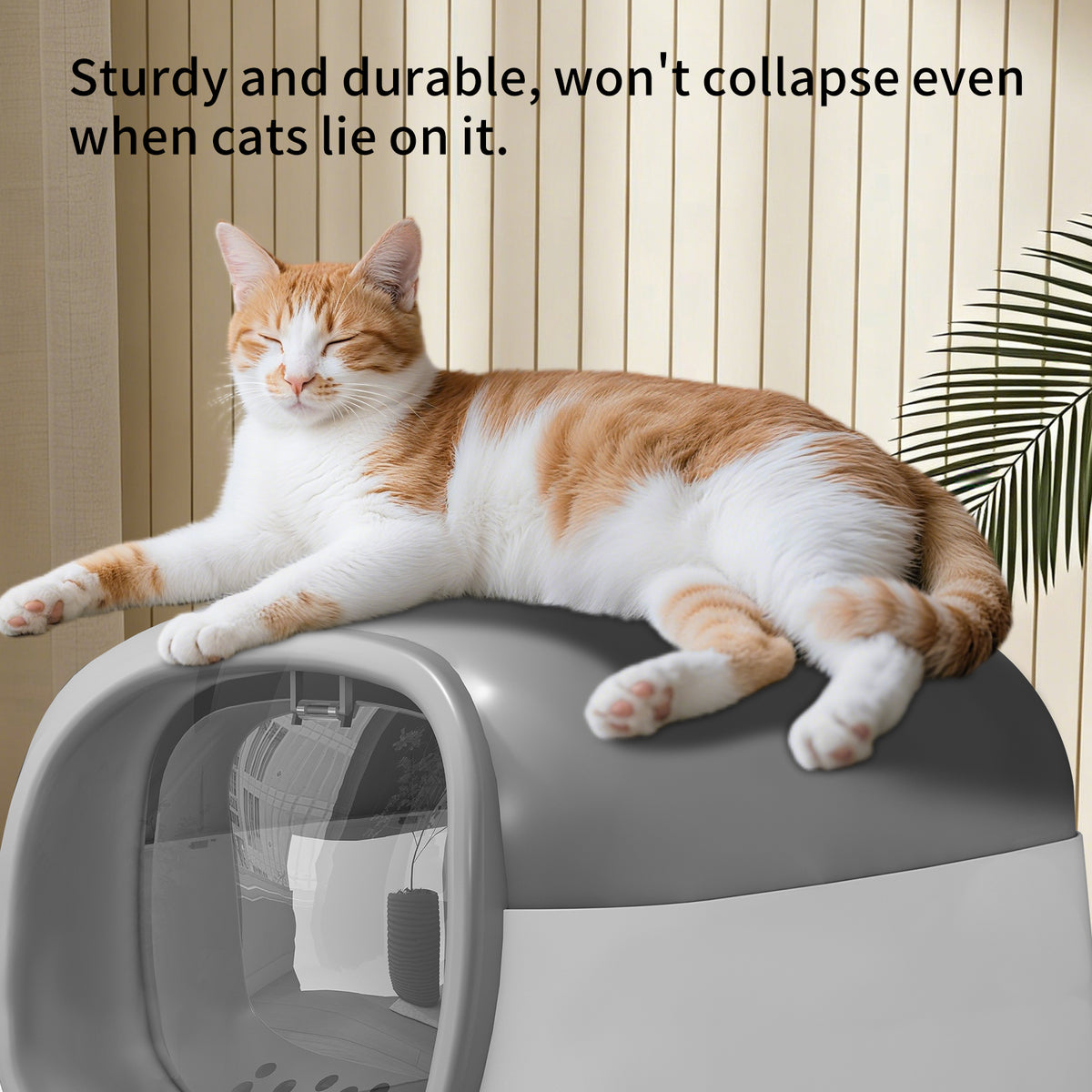 Open Design Transparent Cat Litter Box, Large Capacity Easy Entry Kitty Litter Pan with Cleaning Scoop, Sleek Modern Decorative Pet Toilet for Indoor Cats — product image 3