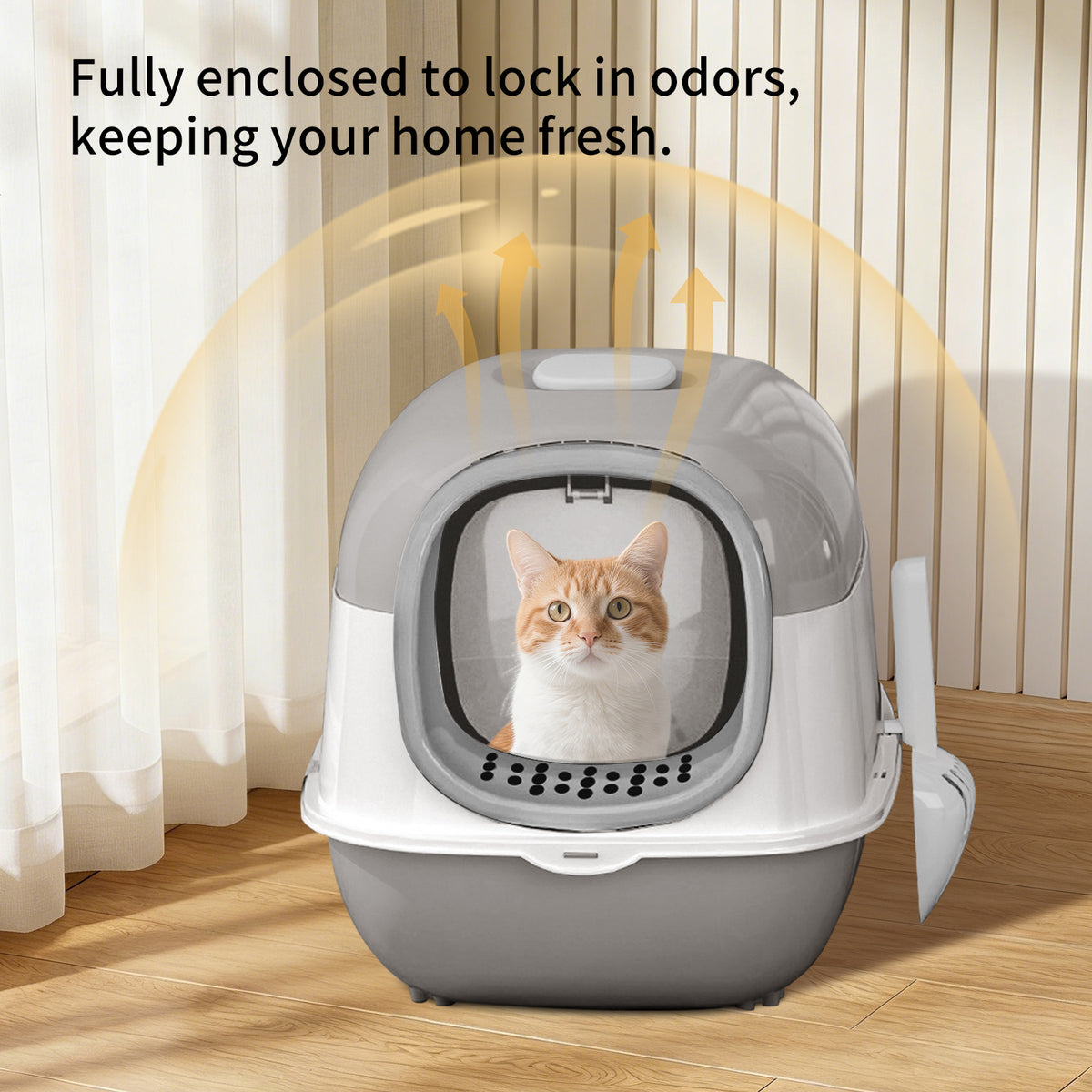 Open Design Transparent Cat Litter Box, Large Capacity Easy Entry Kitty Litter Pan with Cleaning Scoop, Sleek Modern Decorative Pet Toilet for Indoor Cats — product image 4
