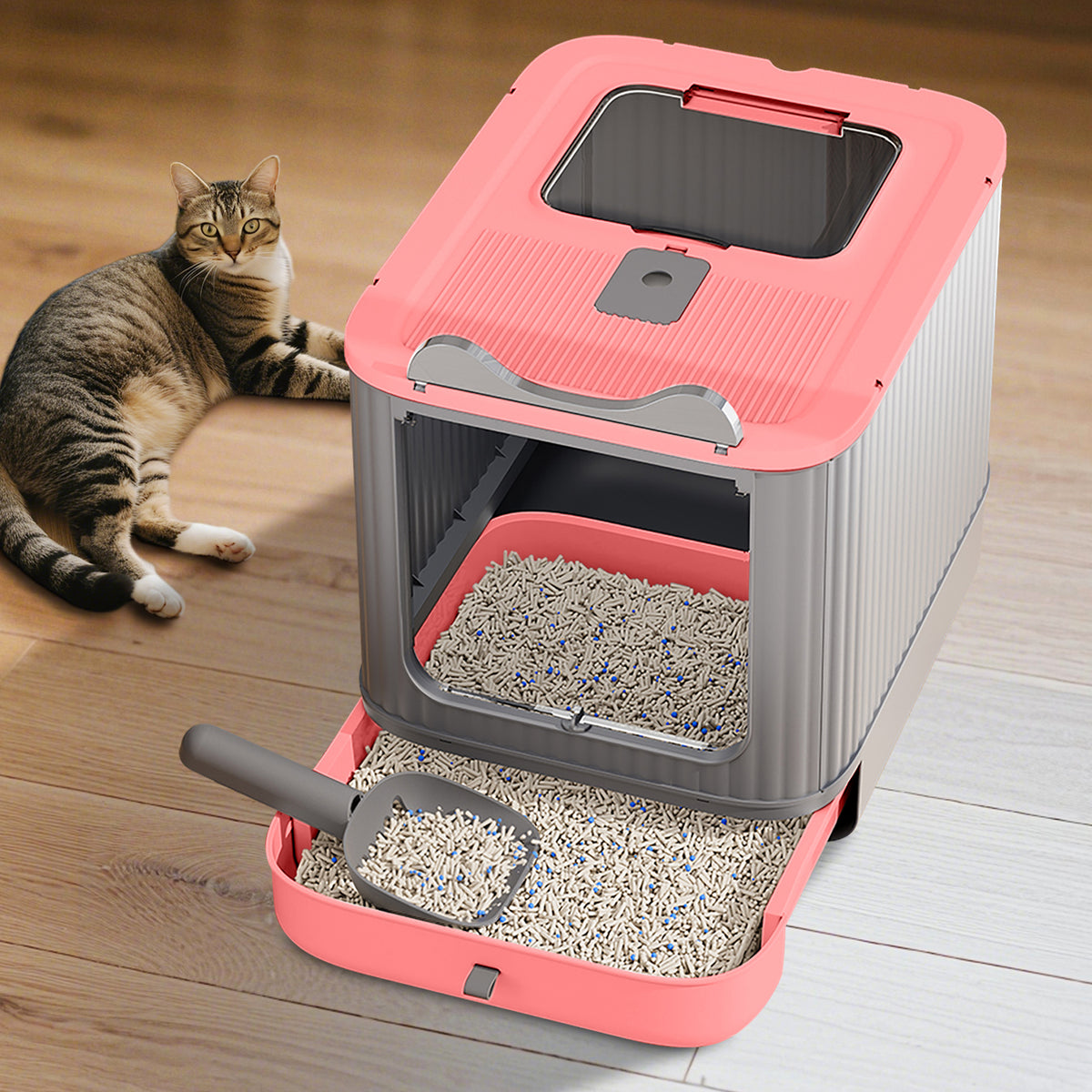 Open Design Transparent Cat Litter Box, Large Spacious Kitty Litter Pan with Cleaning Scoop, Sleek Modern Decorative Pet Toilet Easy Access Durable Safe for Indoor Cats