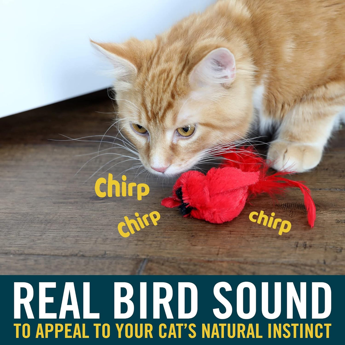 OurPets Play-N-Squeak Real Birds Interactive Indoor Catnip Cat Toys for All Cats with Bird Chirping Electronic Sound — product image 4