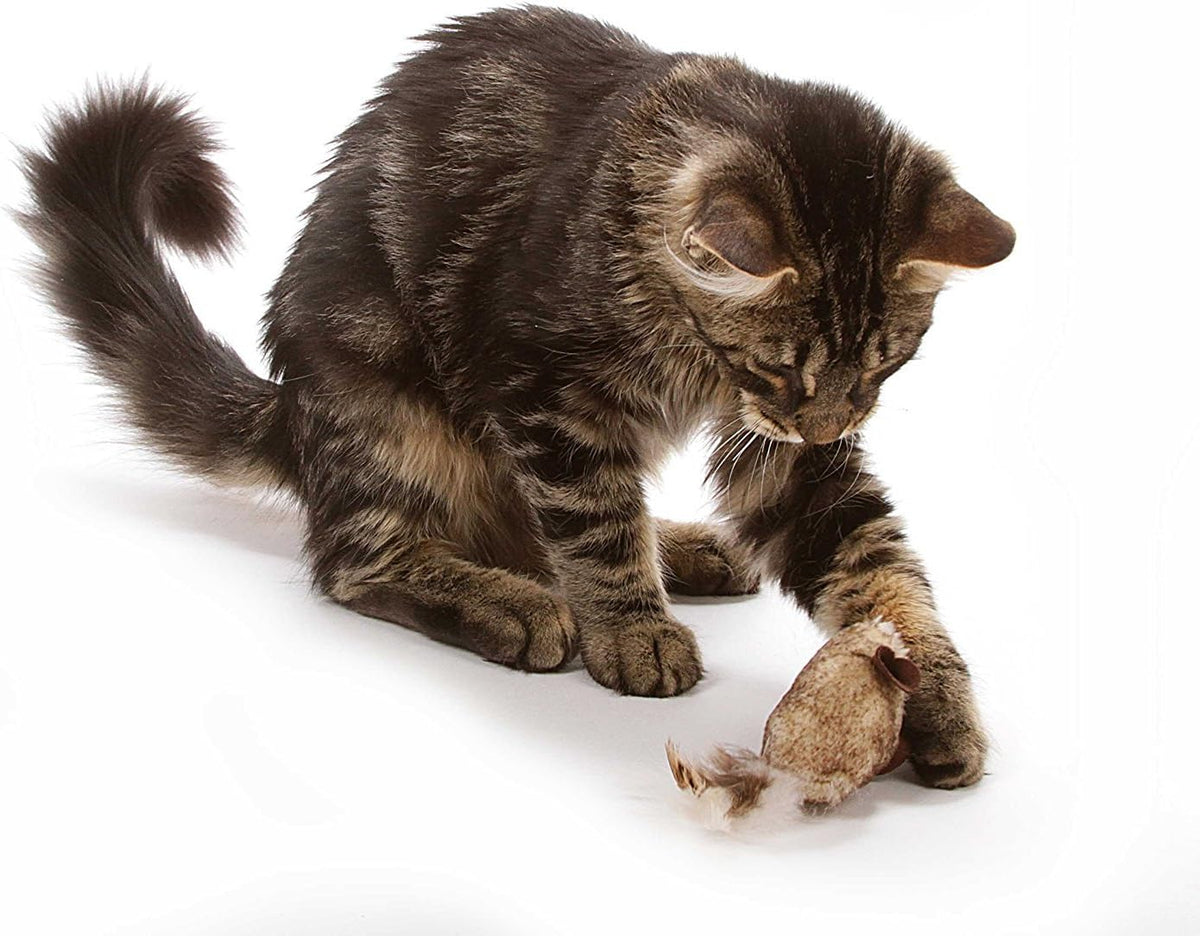 OurPets Play-N-Squeak Twice the Mice Cat Toy Interactive Catnip Toys Real Mouse Sound, Pack of 2 — product image 2