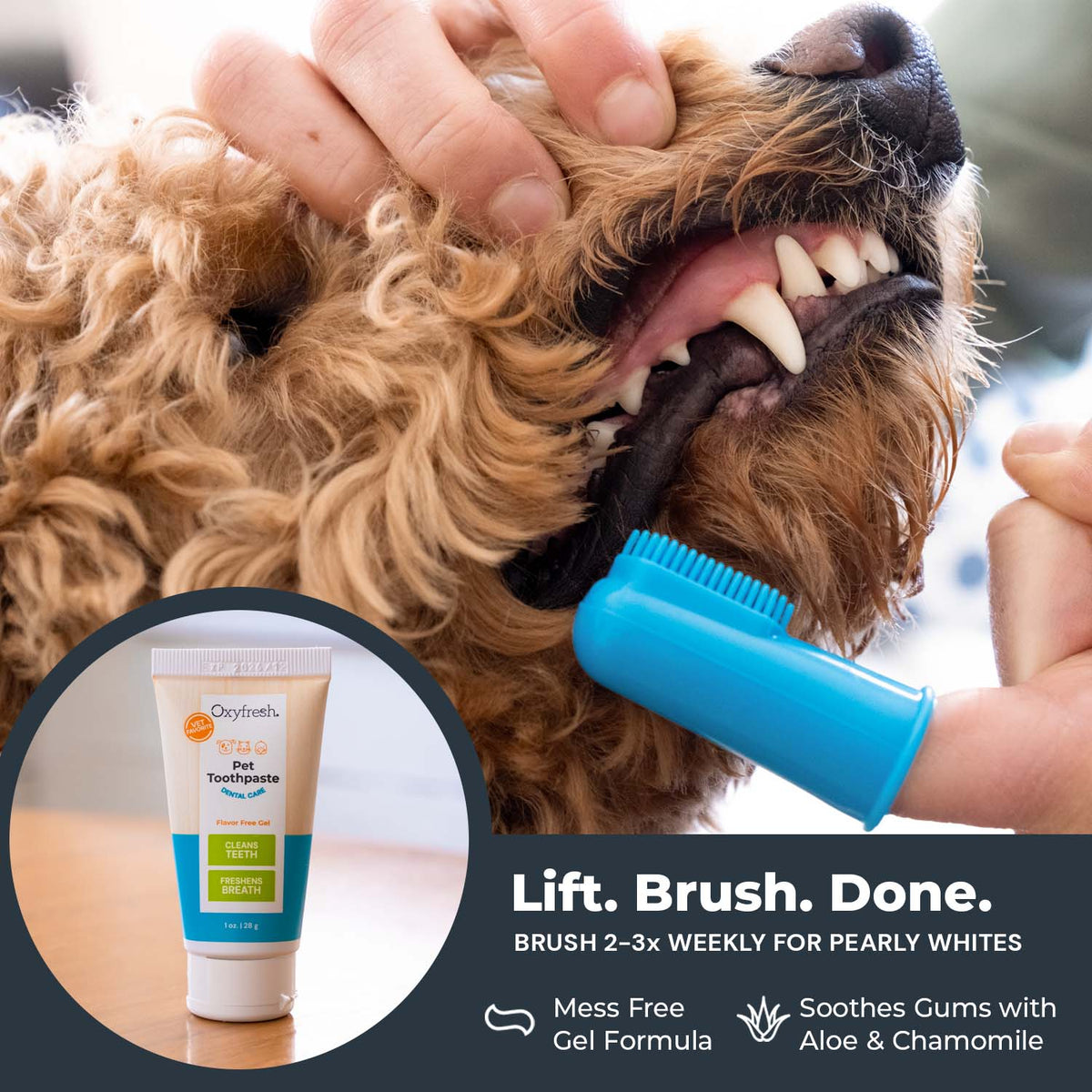 Oxyfresh Premium Pet Dental Kit, Easy Dog & Cat Fresh Breath & Teeth Cleaning Solution, Vet Formulated Toothpaste 1oz, Water Additive 3oz, & 3 Brushes — product image 5