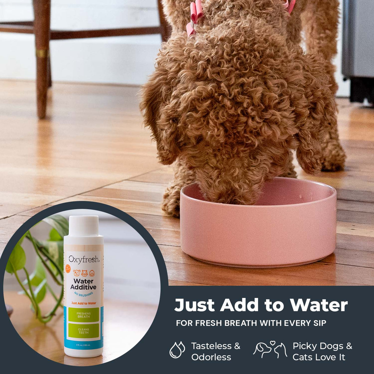 Oxyfresh Premium Pet Dental Kit, Easy Dog & Cat Fresh Breath & Teeth Cleaning Solution, Vet Formulated Toothpaste 1oz, Water Additive 3oz, & 3 Brushes — product image 6