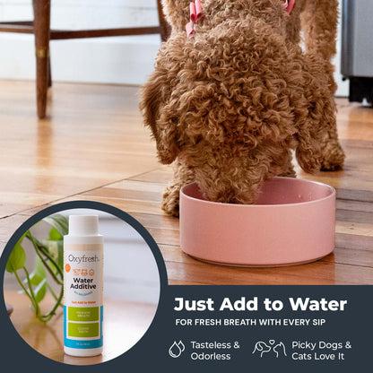 Oxyfresh Premium Pet Dental Kit, Easy Dog & Cat Fresh Breath & Teeth Cleaning Solution, Vet Formulated Toothpaste 1oz, Water Additive 3oz, & 3 Brushes — product image 6