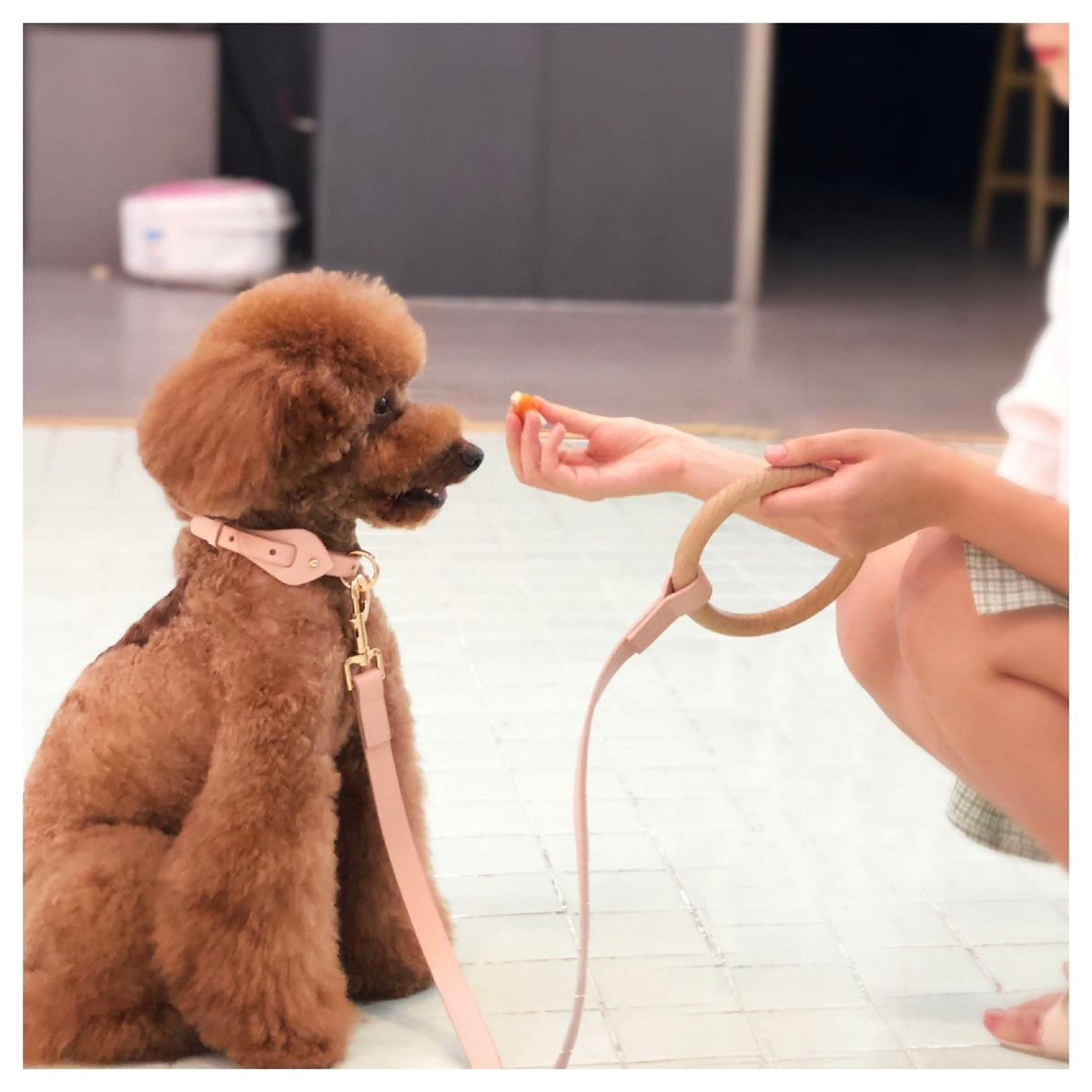 Pet Life ® 'Ever-Craft' Boutique Series Beechwood and Leather Designer Dog Leash — product image 5