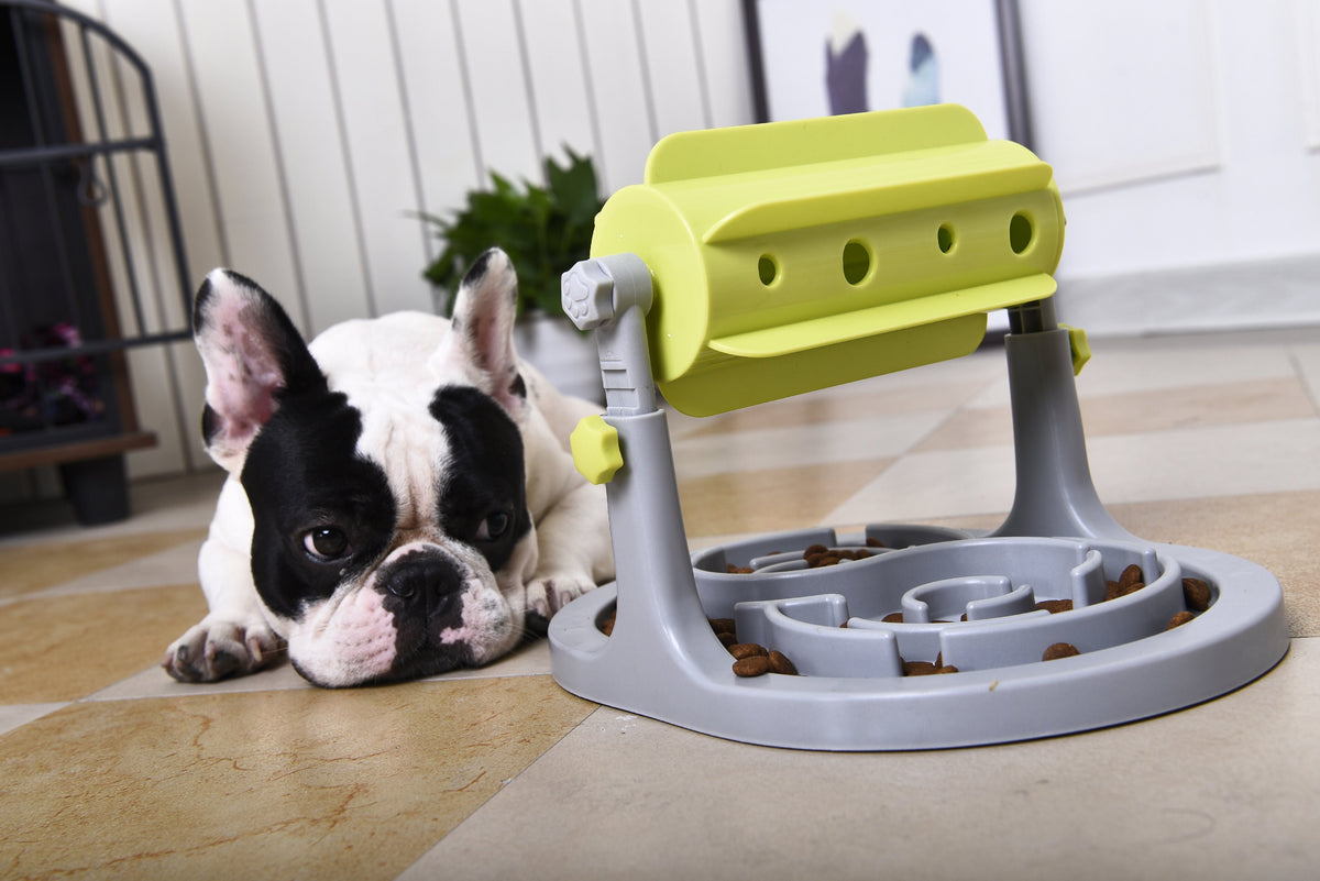Pet Life ® 'Roto Paw' IQ Training Interactive Rotating Slow Dog Feeder — product image 2