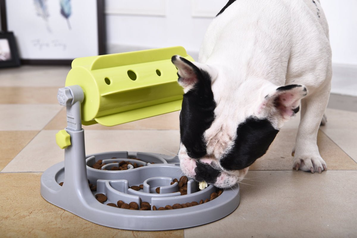 Pet Life ® 'Roto Paw' IQ Training Interactive Rotating Slow Dog Feeder — product image 3