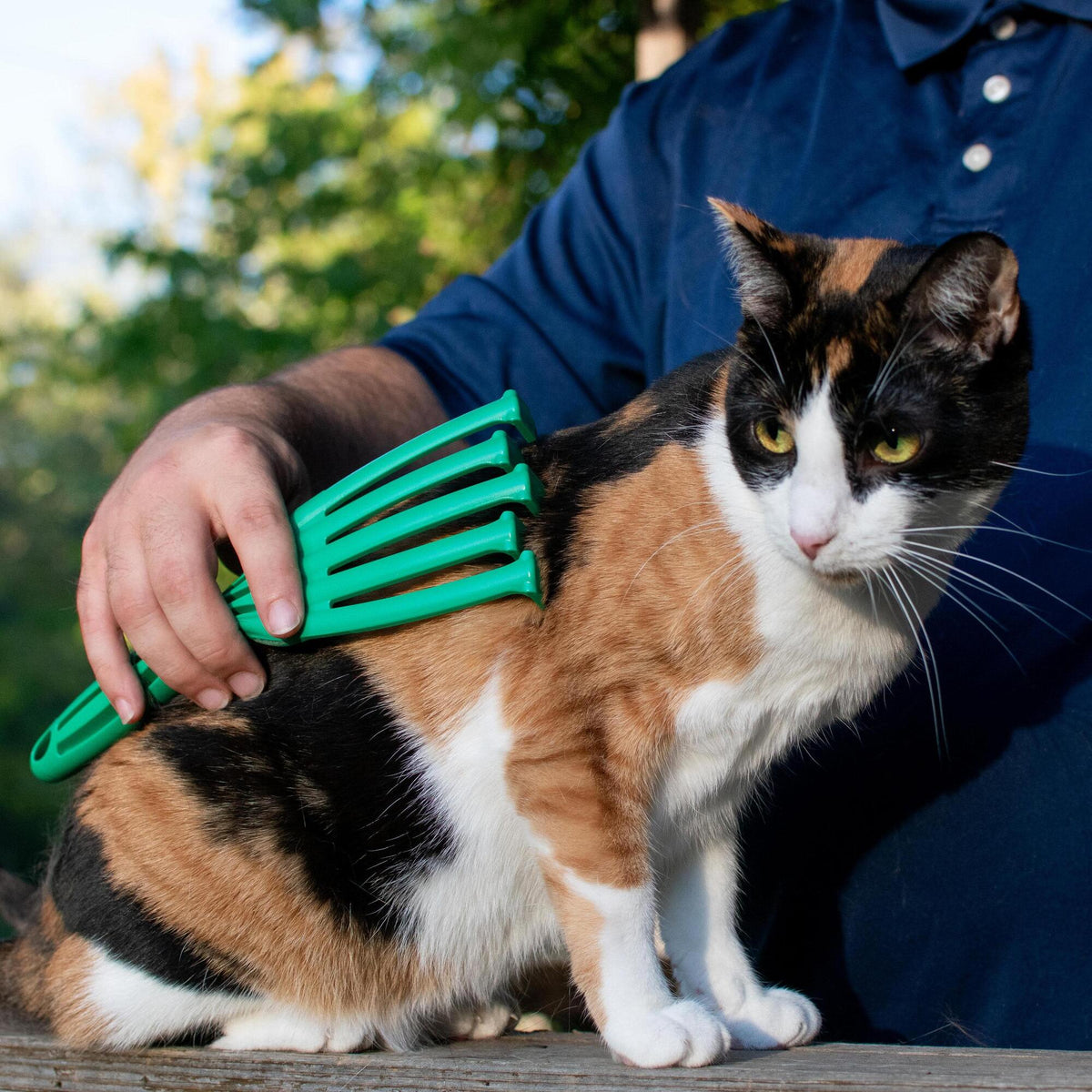 PetKORE: GroomRaker - Cat, Small - Green Deshedding Tool, Pet Grooming, Hair-Dander Removal, Rubber Contour Fingers w/ Gentle Metal Tips, Coat Care — product image 5