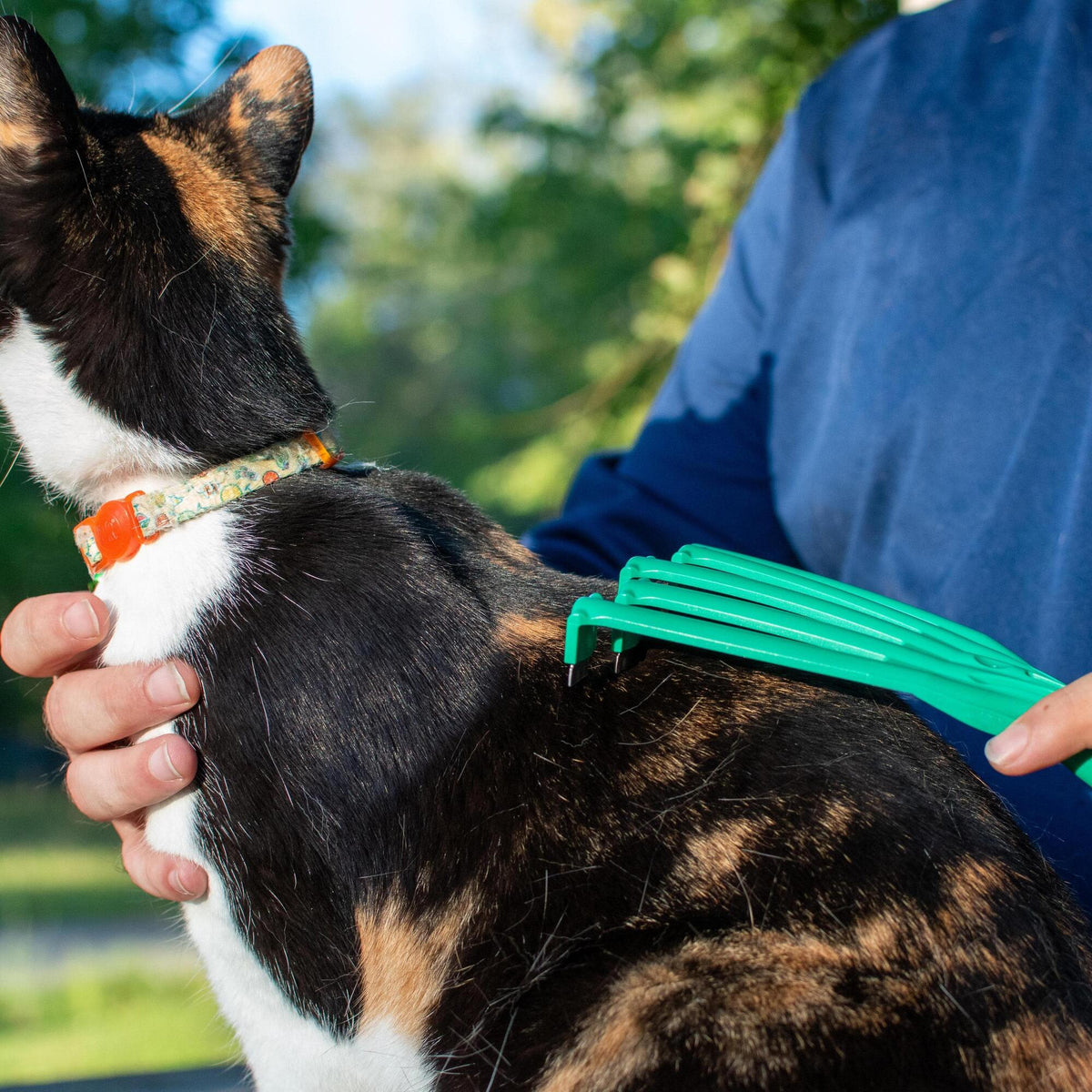 PetKORE: GroomRaker - Cat, Small - Green Deshedding Tool, Pet Grooming, Hair-Dander Removal, Rubber Contour Fingers w/ Gentle Metal Tips, Coat Care — product image 6