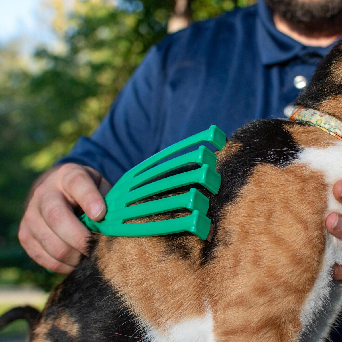 PetKORE: GroomRaker - Cat, Small - Green Deshedding Tool, Pet Grooming, Hair-Dander Removal, Rubber Contour Fingers w/ Gentle Metal Tips, Coat Care — product image 9