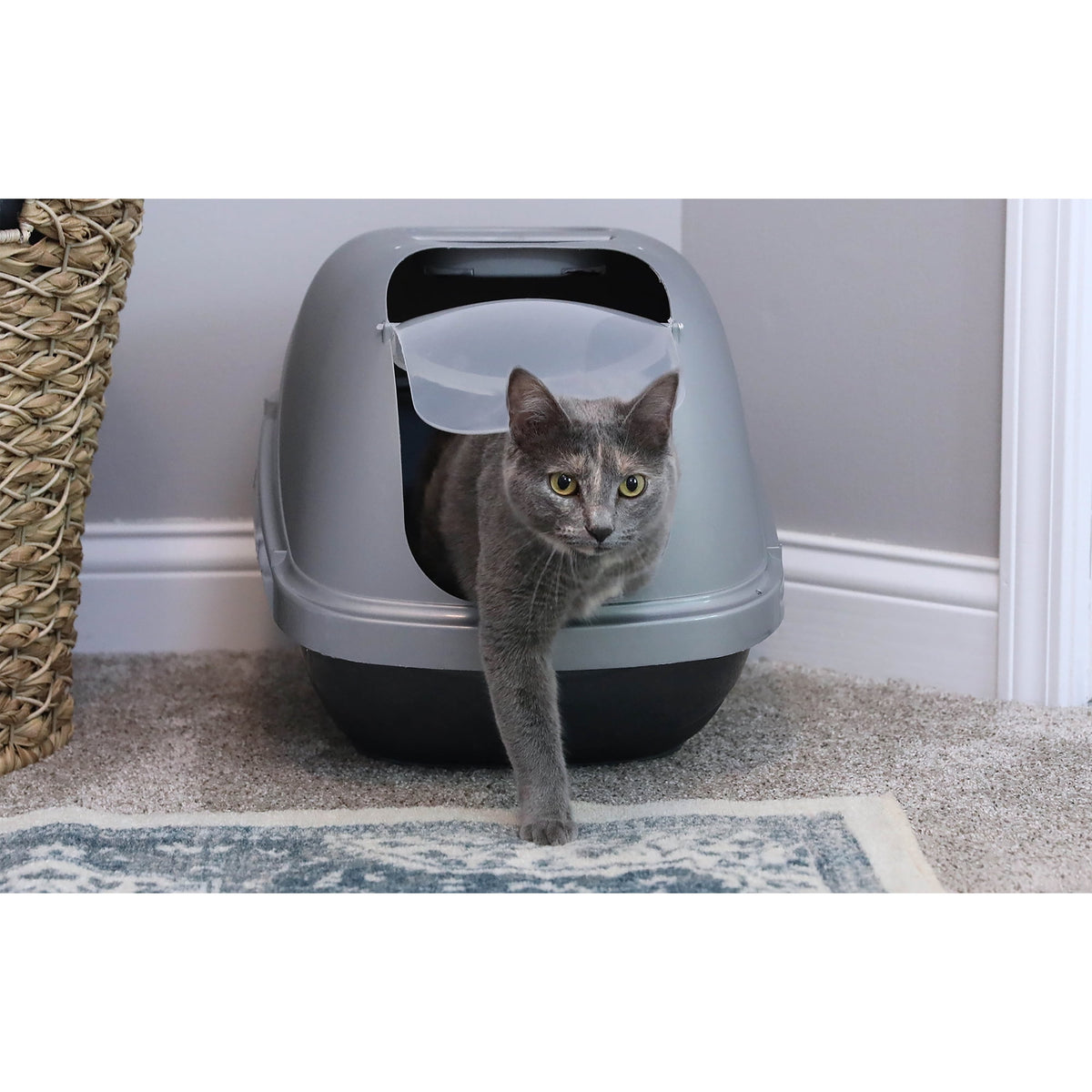 Petmate Basic Hooded Enclosed Cat Litter Pan Covered Plastic Box with Door, Large, Blue Silver — product image 4