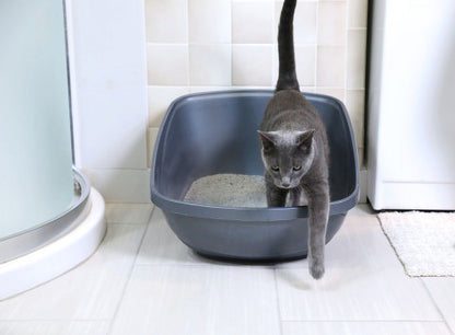 Petmate Hi-Back Open Top High Sided Cat Litter Box 23" Plastic Cat Litter Pan, Jumbo - XL, Blue — product image 4