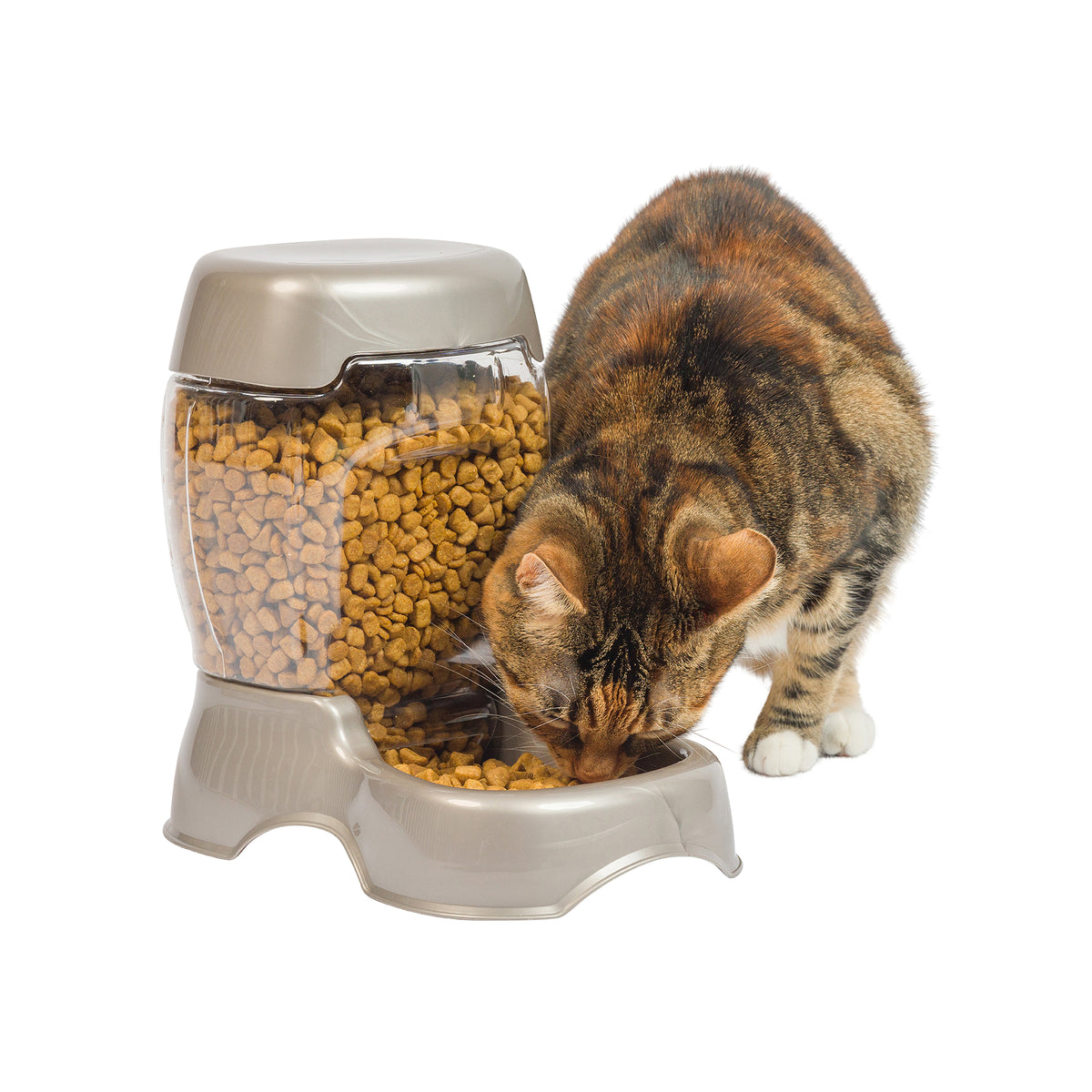 Petmate Pet Cafe Gravity Automatic Feeder Dry Dog Food Dispenser for Cats and Dogs, Small, 3 lb, Tan — product image 5