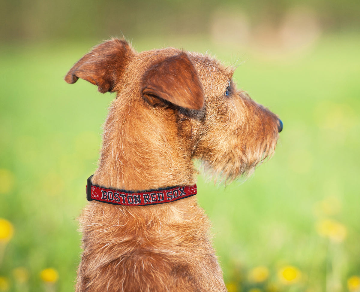 Pets First MLB Boston Red Sox Dogs and Cats Collar - Heavy-Duty, Durable & Adjustable - Medium — product image 3