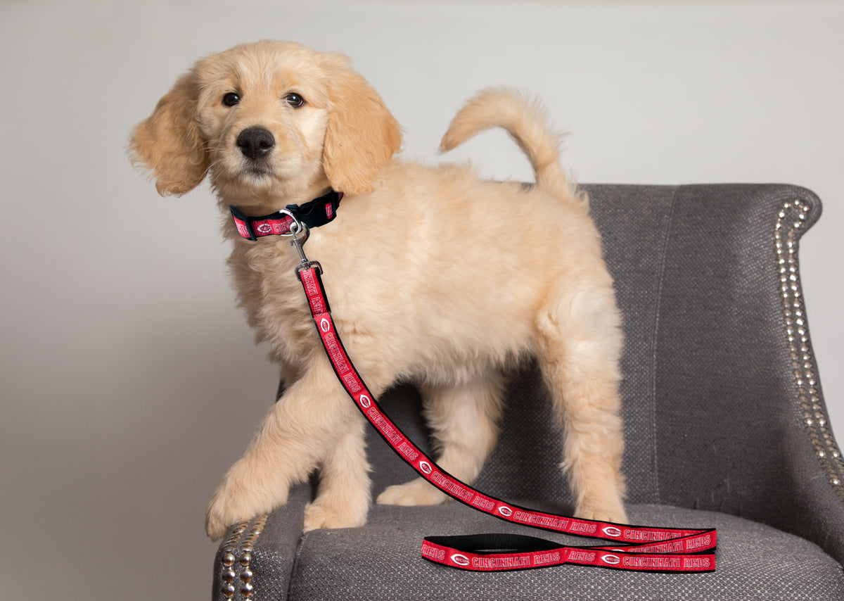 Pets First MLB Cincinnati Reds Cats and Dogs Durable Pet Leash, Medium — product image 3