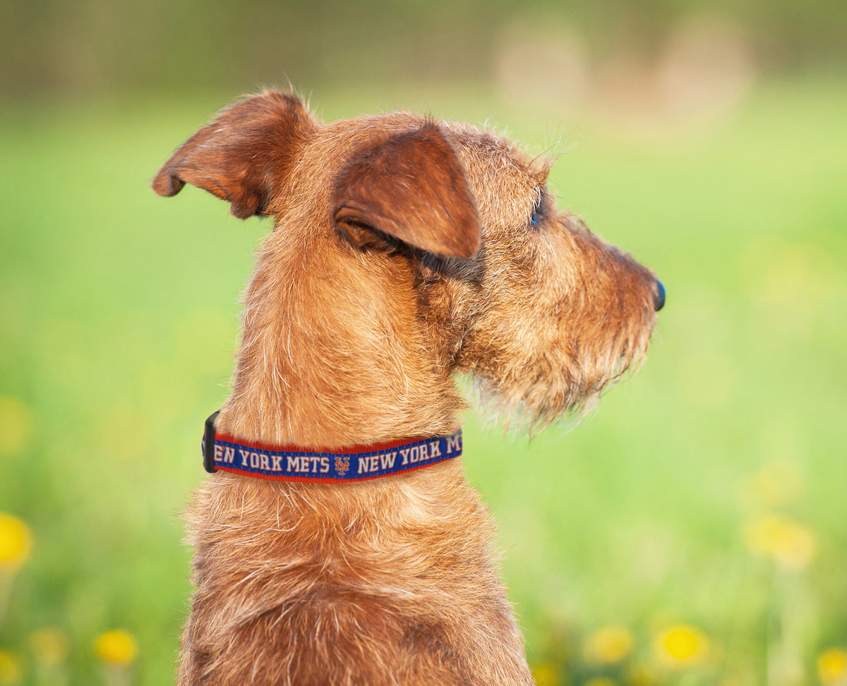 Pets First MLB New York Mets Dogs and Cats Collar - Heavy-Duty, Durable & Adjustable - Medium — product image 3