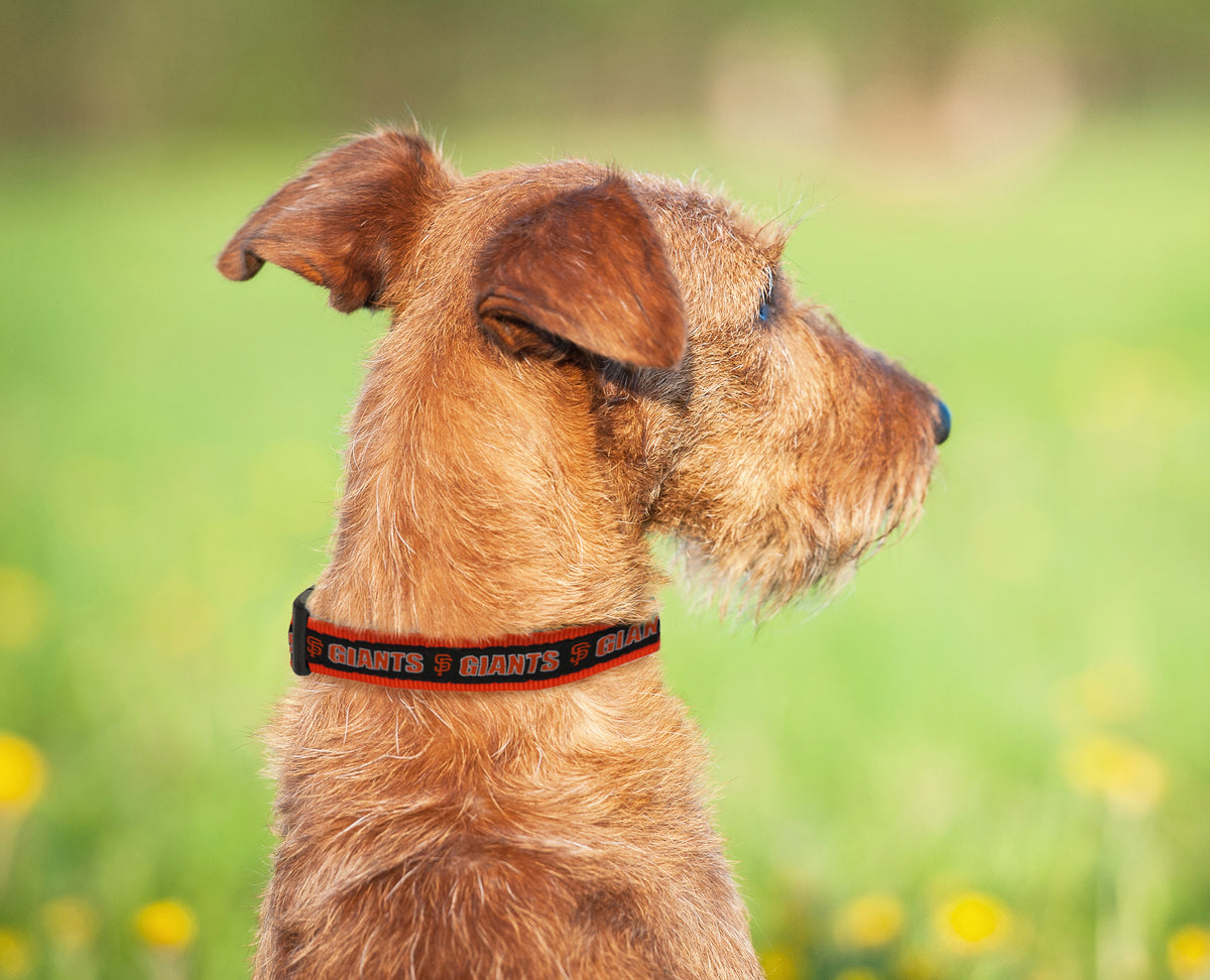 Pets First MLB San Francisco Giants Dogs and Cats Collar - Heavy-Duty, Durable & Adjustable - Extra Large — product image 3