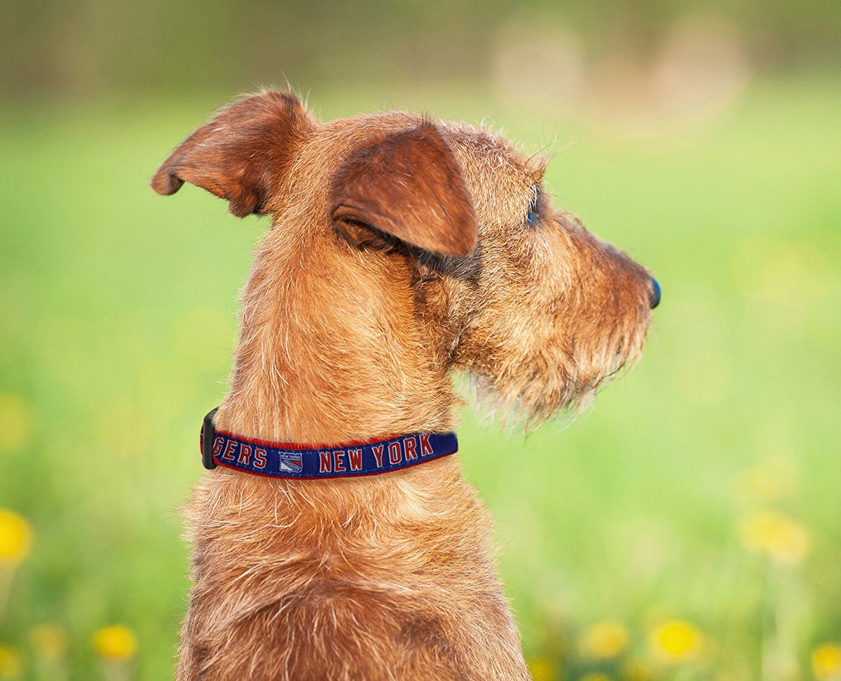 Pets First NHL New York Rangers Cat and Dog Collar - Heavy-Duty, Durable & Adjustable Collar — product image 2