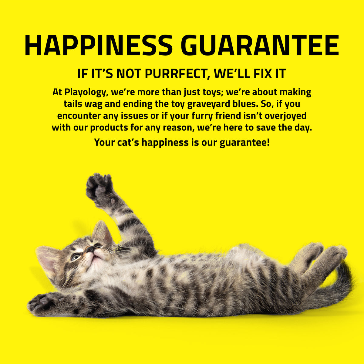 Playology Pull & Zoom Squirrel Motion Cat Toy for Interactive Play — product image 6