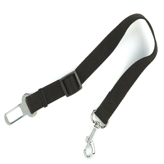 Pounce + Fetch Seatbelt Leash with Bonus Dividing Net, Dog and Cat