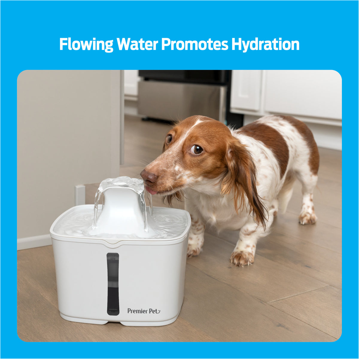 Premier Pet 60 oz. Pet Fountain, Automatic for Cats, Filters Included, White — product image 3