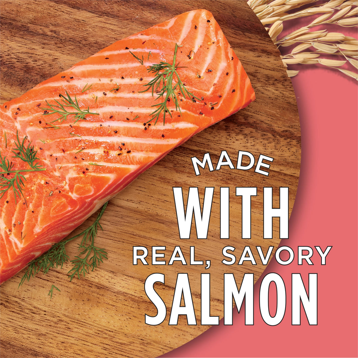 Purina Cat Chow Complete High Protein Dry Cat Food with Real Salmon, 15 lb Bag — product image 4
