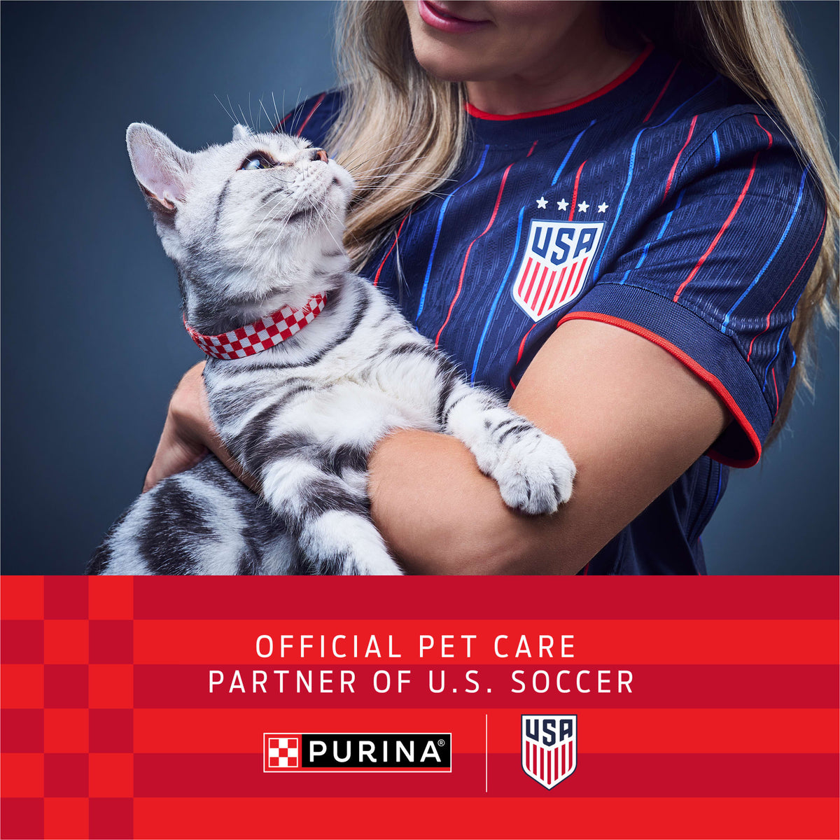 Purina Fancy Feast Petites Gravy Collection Wet Cat Food, Variety Pack, 2.8 oz (24 Pack) — product image 2