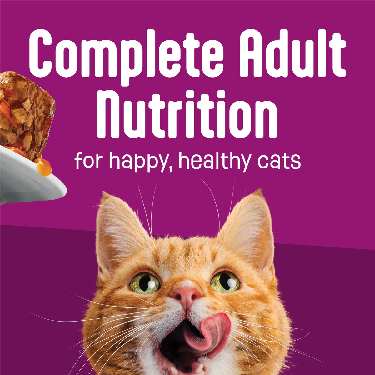 Purina Friskies Glaz’d and Infuz’d Shrimp Flavor Wet Cat Food, 5.5 oz Can — product image 6