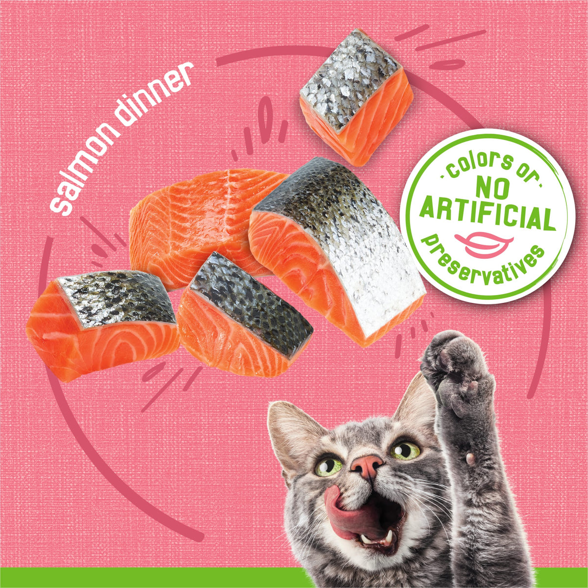 Purina Friskies Pate, Salmon, Wet Cat Food, 5.5 oz Can, 24 Pack — product image 4