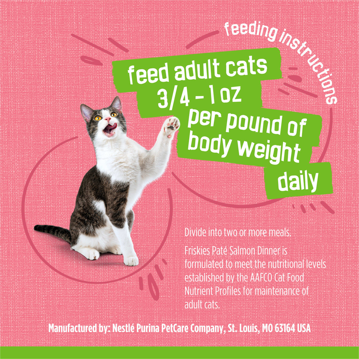 Purina Friskies Pate, Salmon, Wet Cat Food, 5.5 oz Can, 24 Pack — product image 9