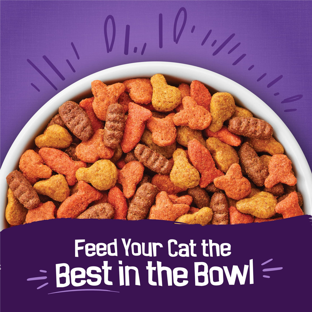 Purina Friskies Surfin and Turfin Favorites Dry Cat Food Flavors of Chicken, Whitefish, Salmon and Filet Mignon, 3.15 lb Bag — product image 3