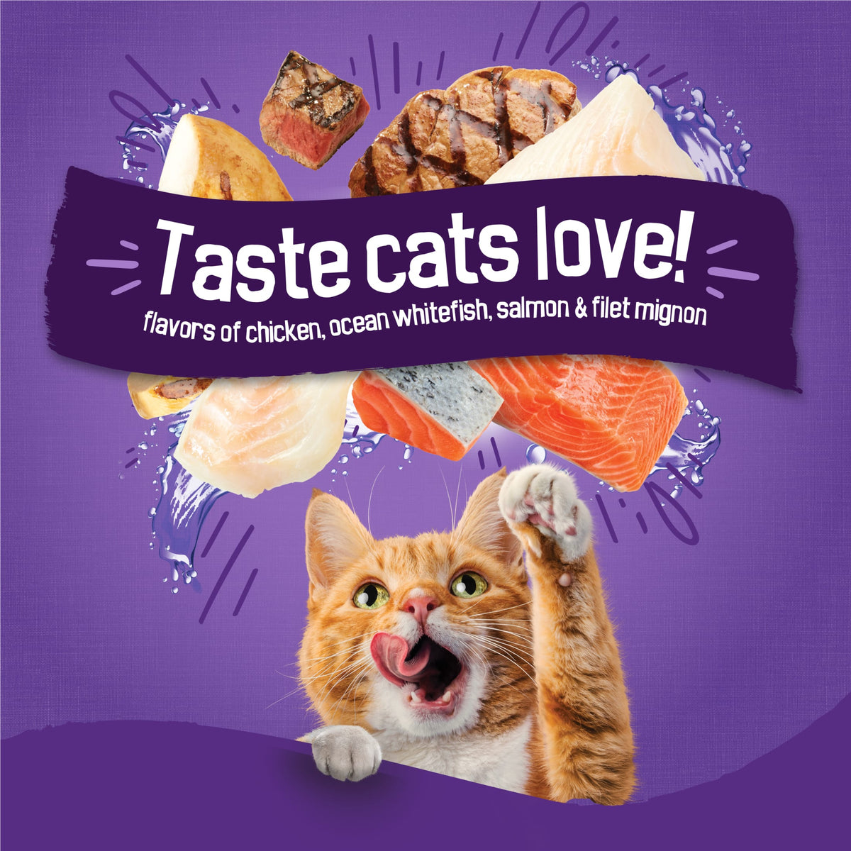 Purina Friskies Surfin and Turfin Favorites Dry Cat Food Flavors of Chicken, Whitefish, Salmon and Filet Mignon, 3.15 lb Bag — product image 4