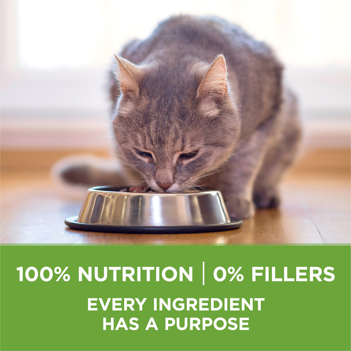 Purina ONE Plus, Indoor Advantage, Dry Cat Food, Turkey, 3.5 lb Bag — product image 8