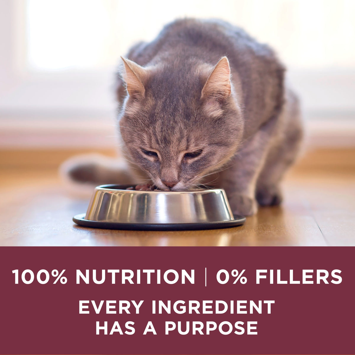 Purina ONE Plus, Urinary Tract Health Formula Dry Cat Food, Chicken, 7 lb Bag — product image 10