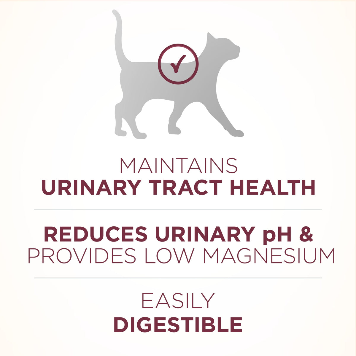 Purina ONE Plus, Urinary Tract Health Formula Dry Cat Food, Chicken, 7 lb Bag — product image 6