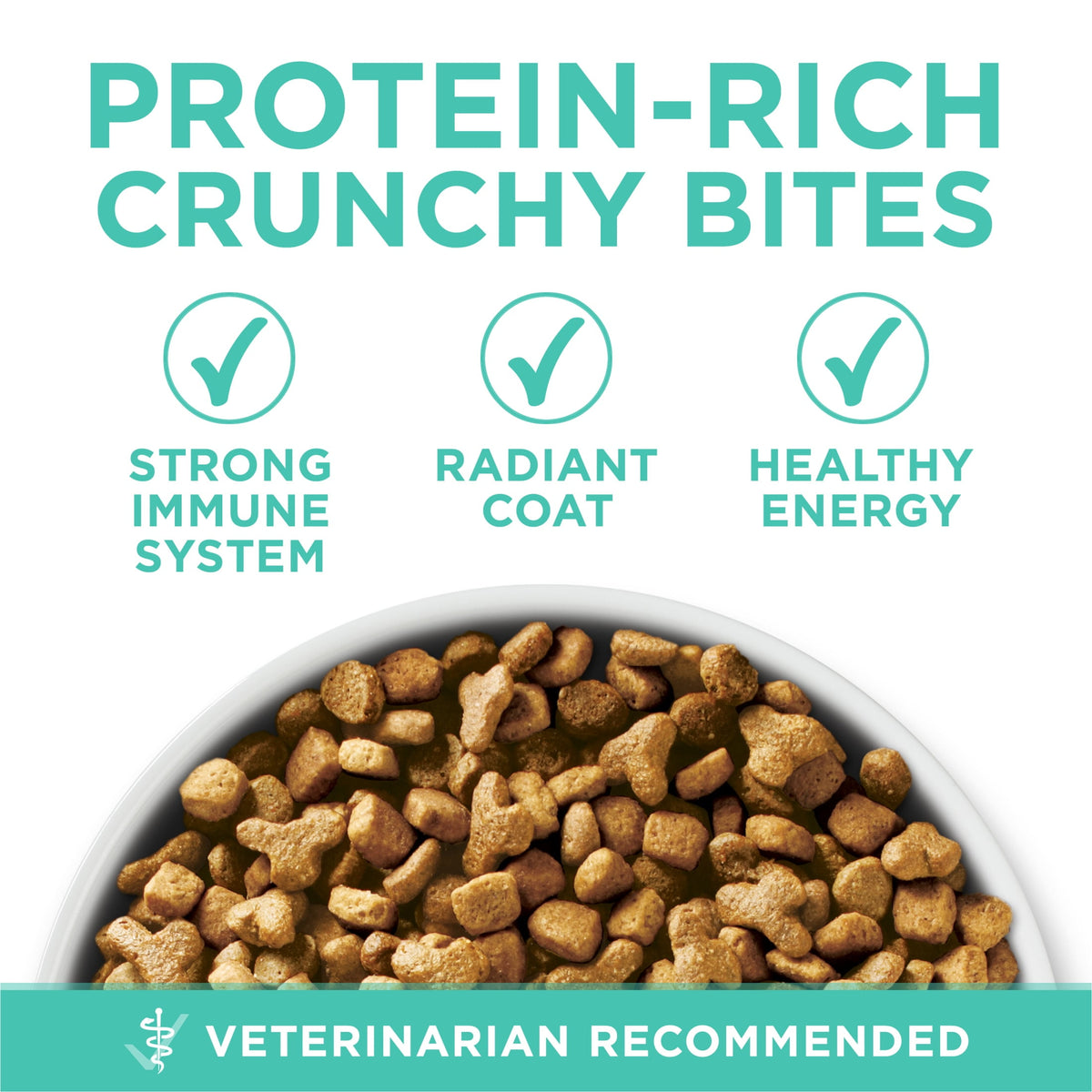 Purina ONE Sensitive Stomach, Sensitive Skin, Natural Dry Cat Food, +Plus Sensitive Skin and Stomach Formula, 7 lb Bag — product image 3