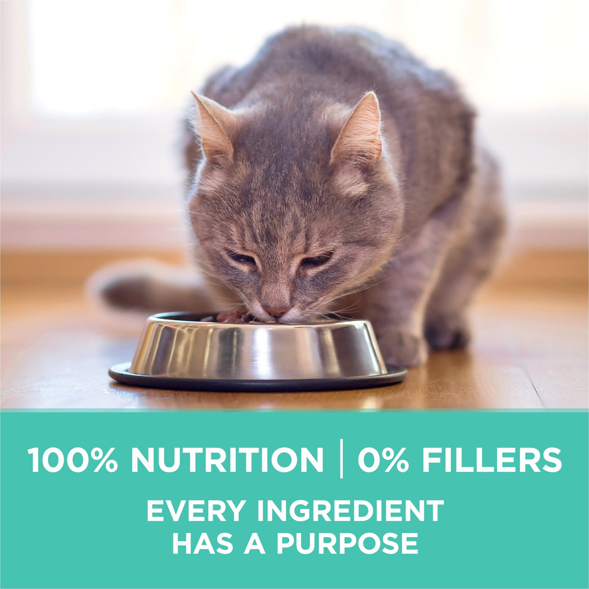 Purina ONE Sensitive Stomach, Sensitive Skin, Natural Dry Cat Food, +Plus Sensitive Skin and Stomach Formula, 7 lb Bag — product image 8