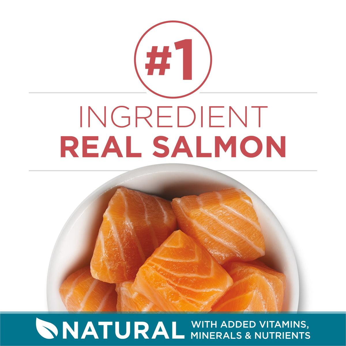 Purina ONE Tender Selects Blend With Real Salmon Digestive Care Natural Dry Cat Food, 7 lb, 4 Pack — product image 4