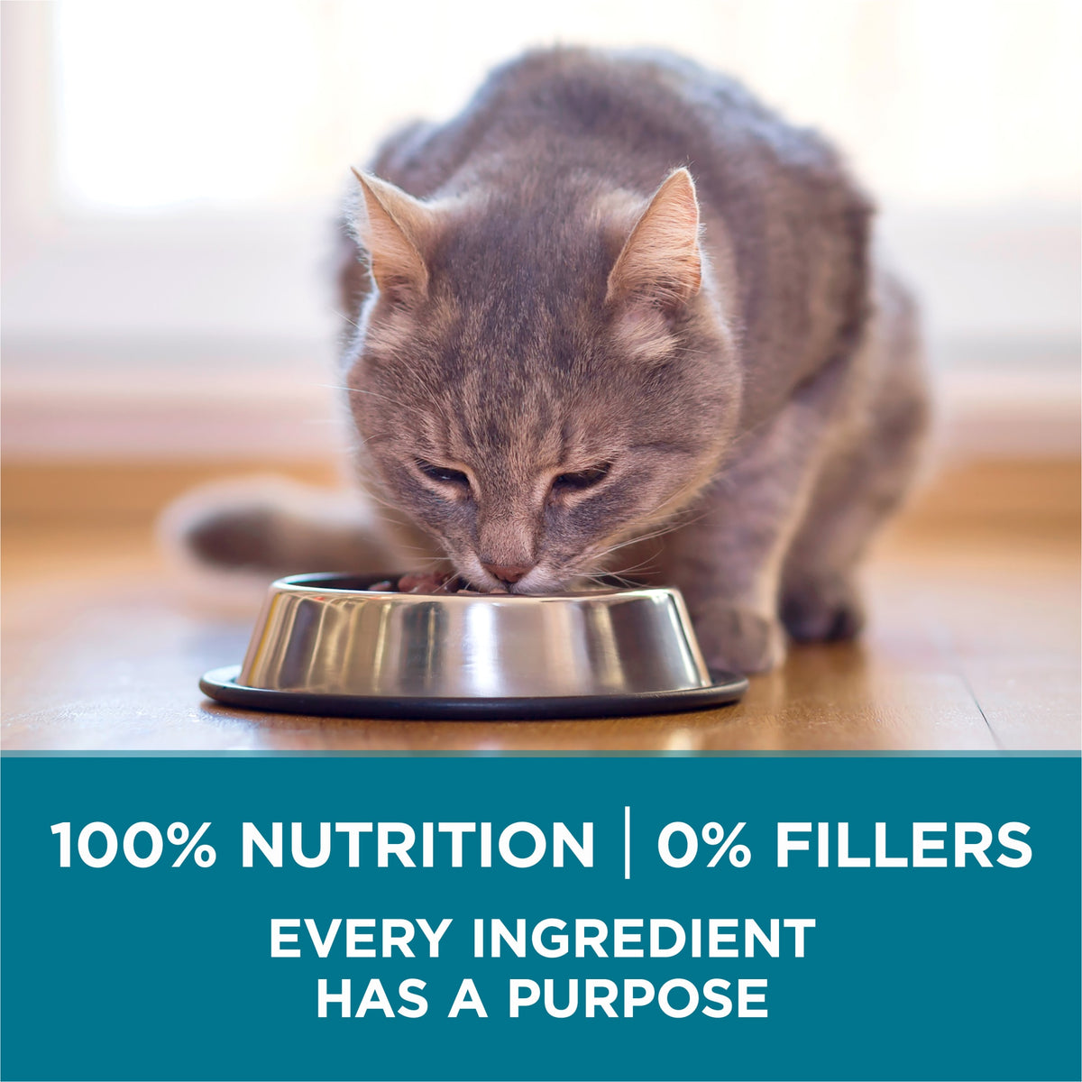 Purina ONE Tender Selects Blend With Real Salmon Digestive Care Natural Dry Cat Food, 7 lb, 4 Pack — product image 8