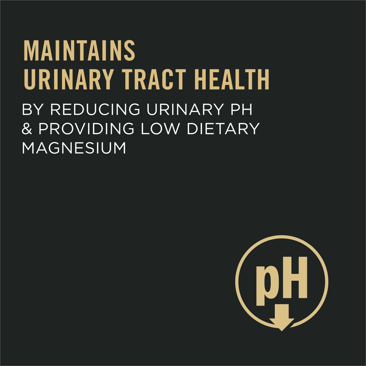 Purina Pro Plan Adult Urinary Tract Health Chicken and Rice Formula Dry Cat Food, 3.5 lb, 4 Pack — product image 4
