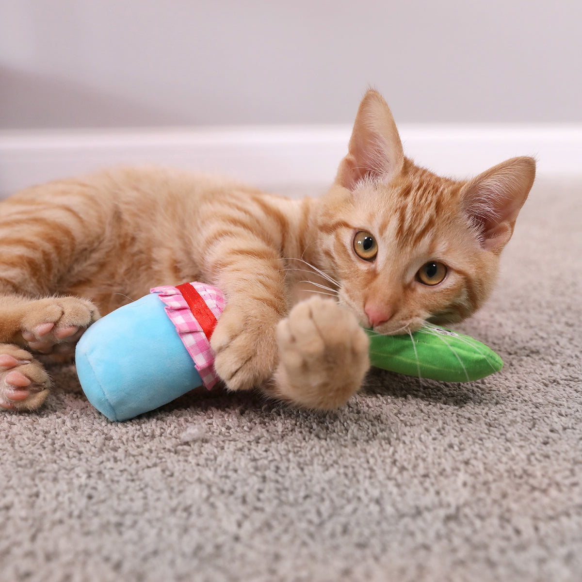 Quirky Kitty Pickled Mewcumbers Catnip Interactive Plush Cat Toy, Multicolor, Pack of 2 — product image 2