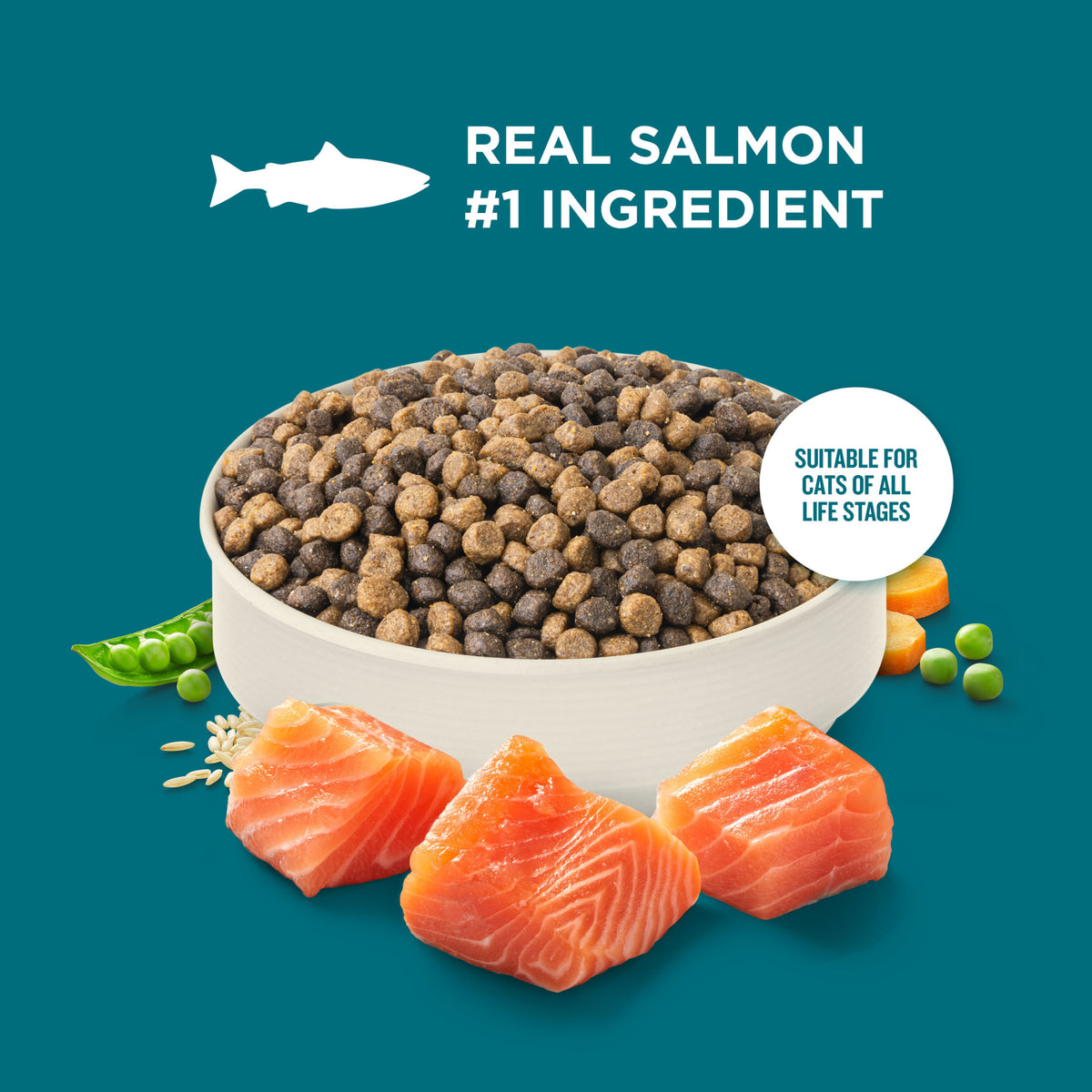 Rachael Ray Nutrish Dry Cat Food Real Salmon & Brown Rice Recipe, 5 lb. — product image 4