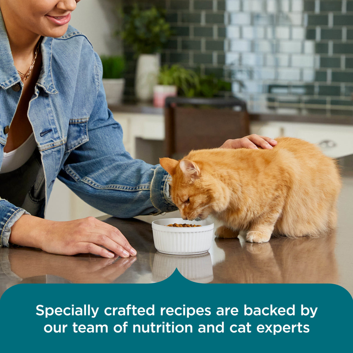 Rachael Ray Nutrish Dry Cat Food Real Salmon & Brown Rice Recipe, 5 lb. — product image 6