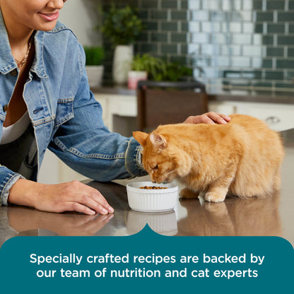 Rachael Ray Nutrish Dry Cat Food Real Salmon & Brown Rice Recipe, 5 lb. — product image 6